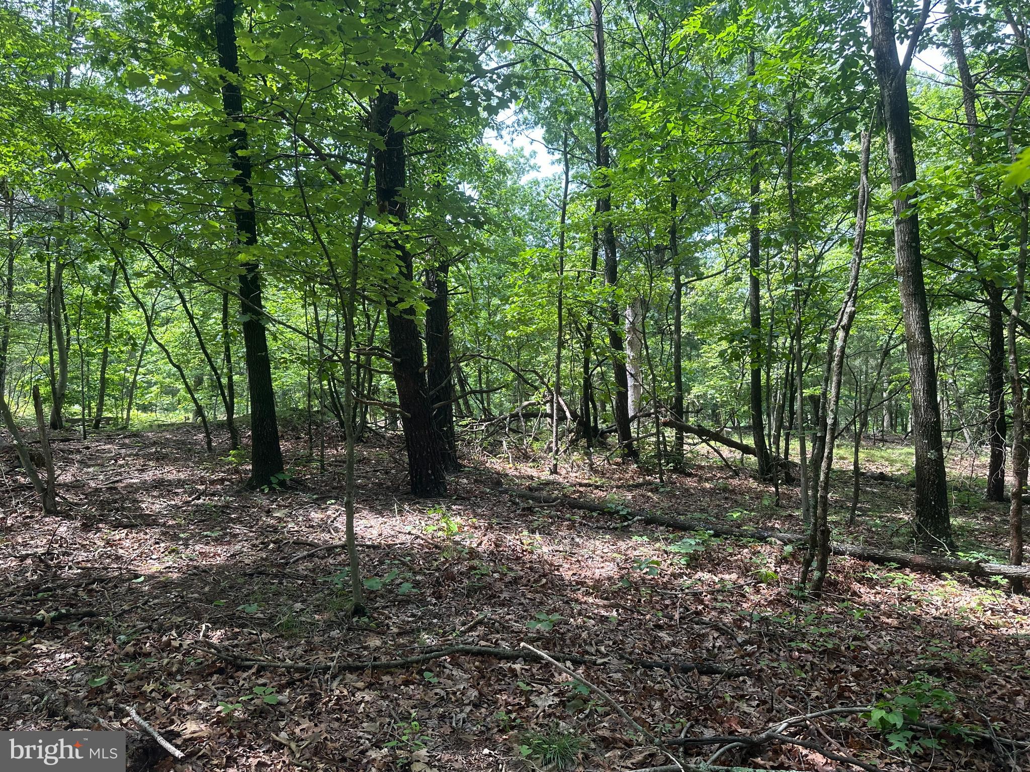 DEER RIDGE ESTATES - Land