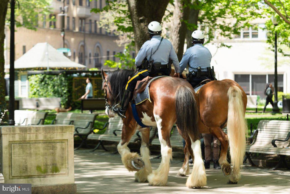 RITTENHOUSE SQUARE - Residential