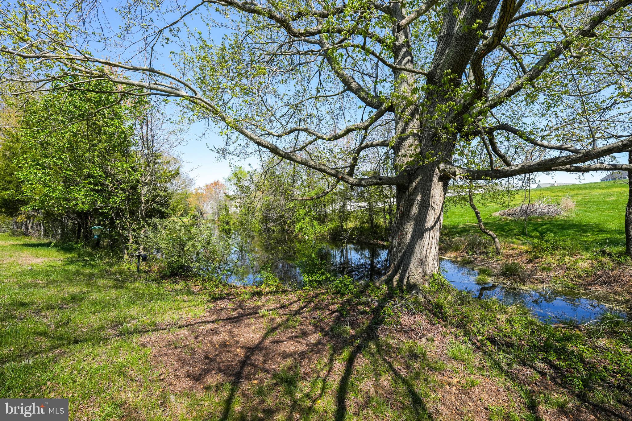CHANCELLORSVILLE CROSSING - Residential