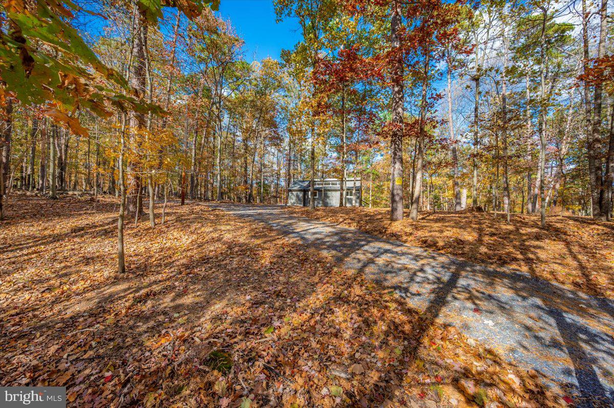 THE WOODS - Residential