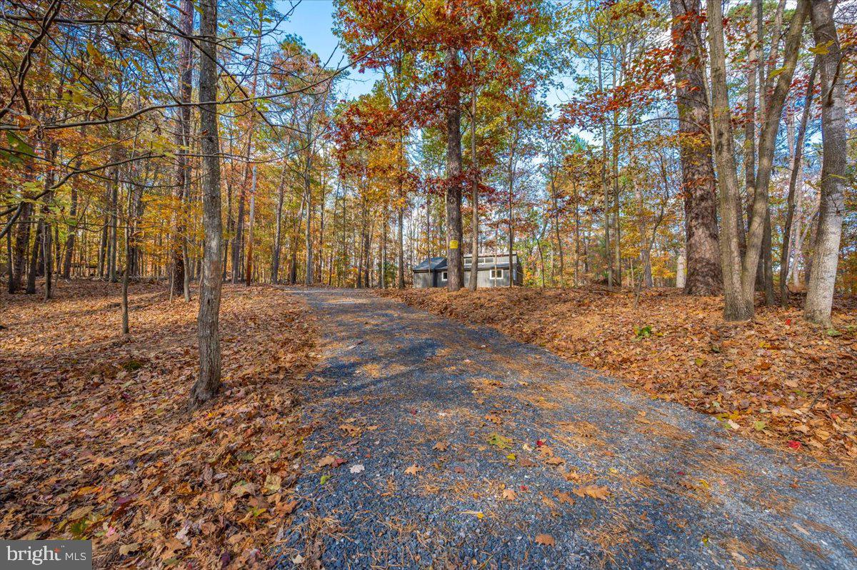 THE WOODS - Residential