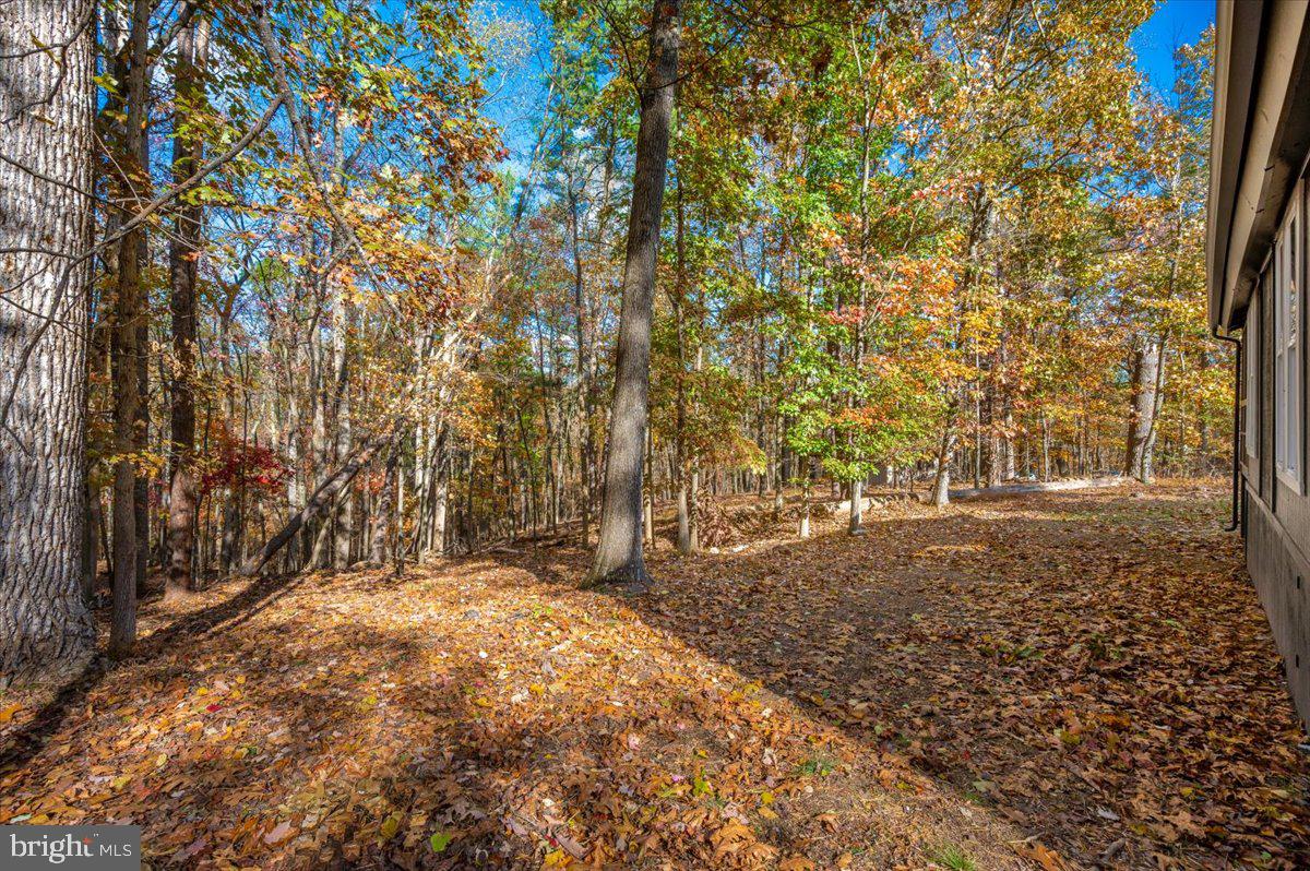 THE WOODS - Residential