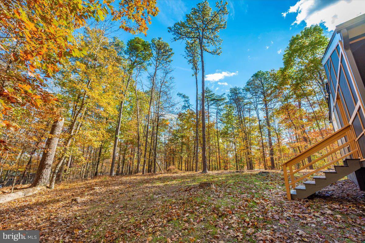 THE WOODS - Residential