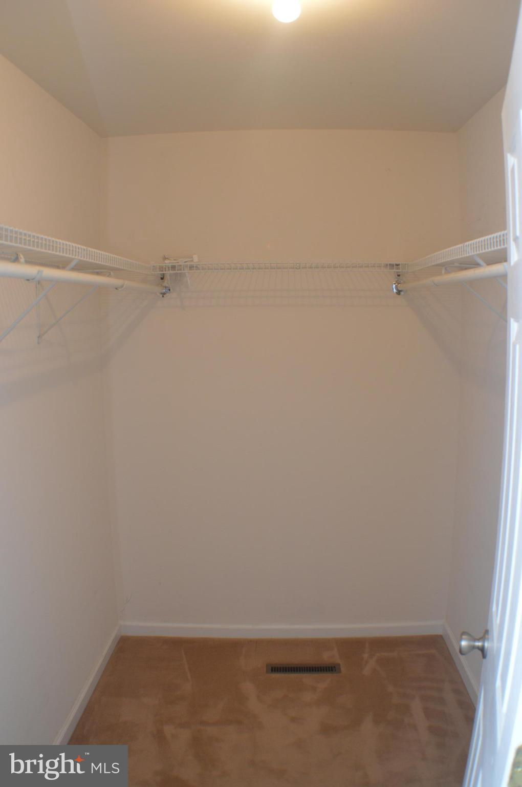 LIGHT HORSE FOREST - Residential