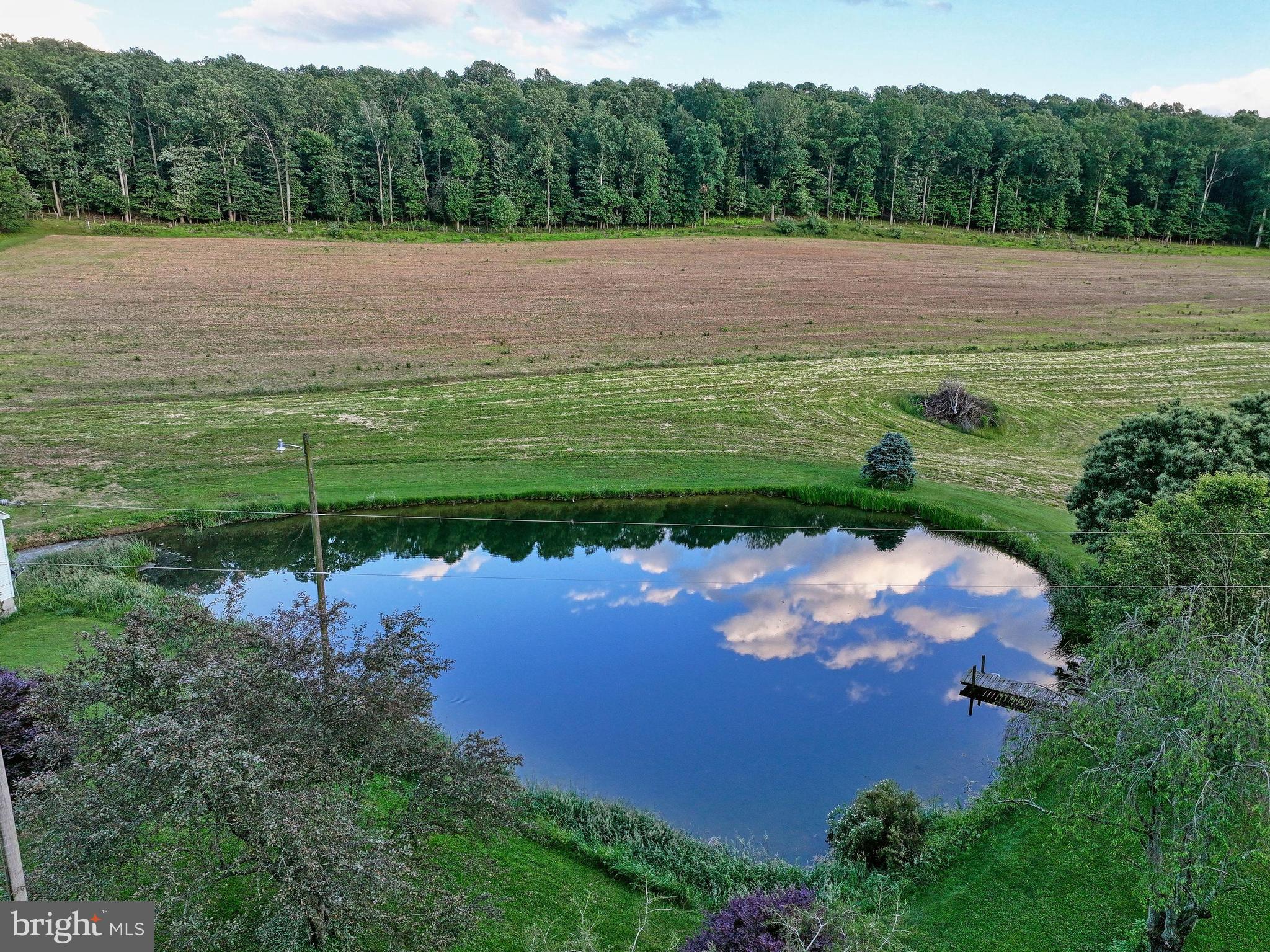 NONE AVAILABLE - Farm