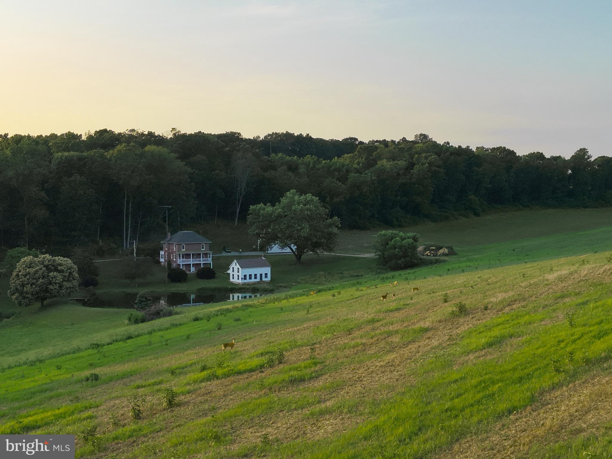 NONE AVAILABLE - Farm