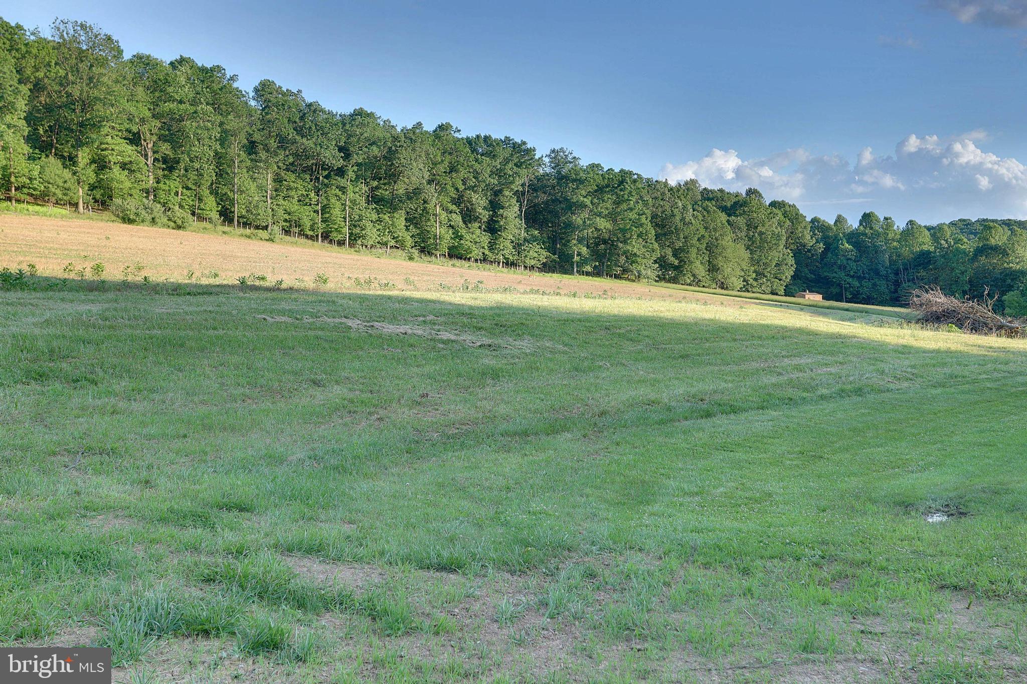 NONE AVAILABLE - Farm