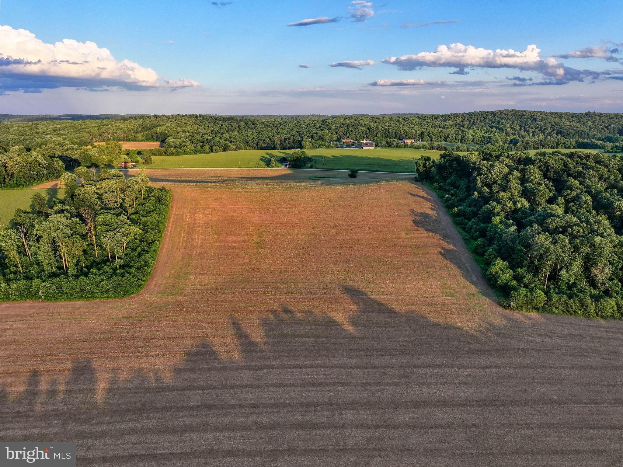 NONE AVAILABLE - Farm