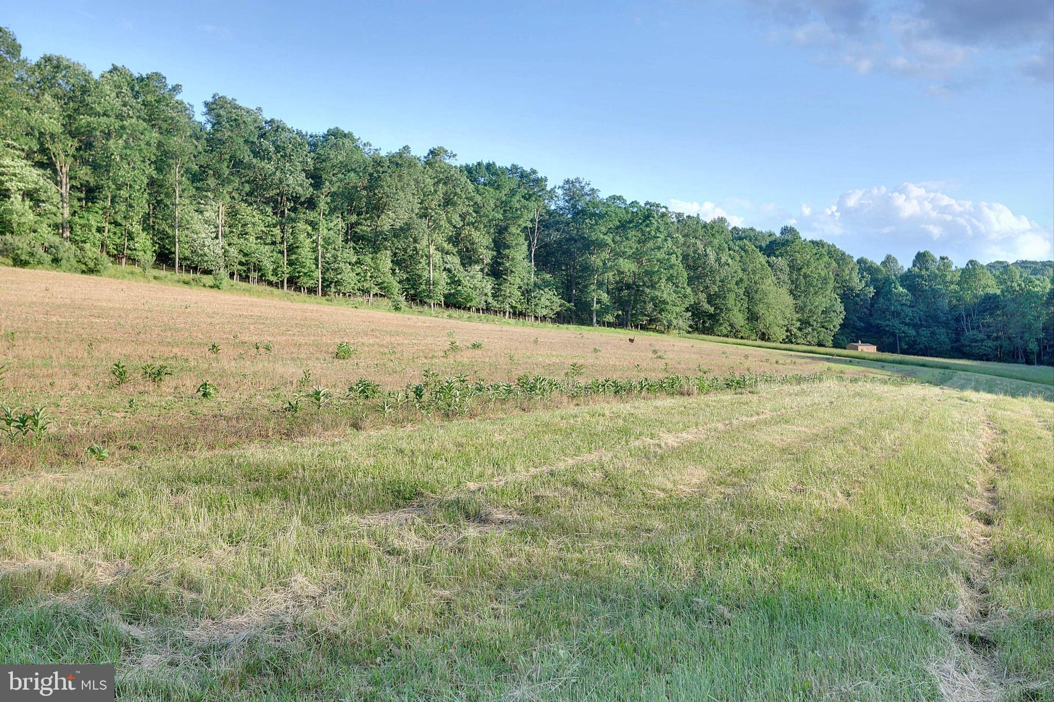 NONE AVAILABLE - Farm