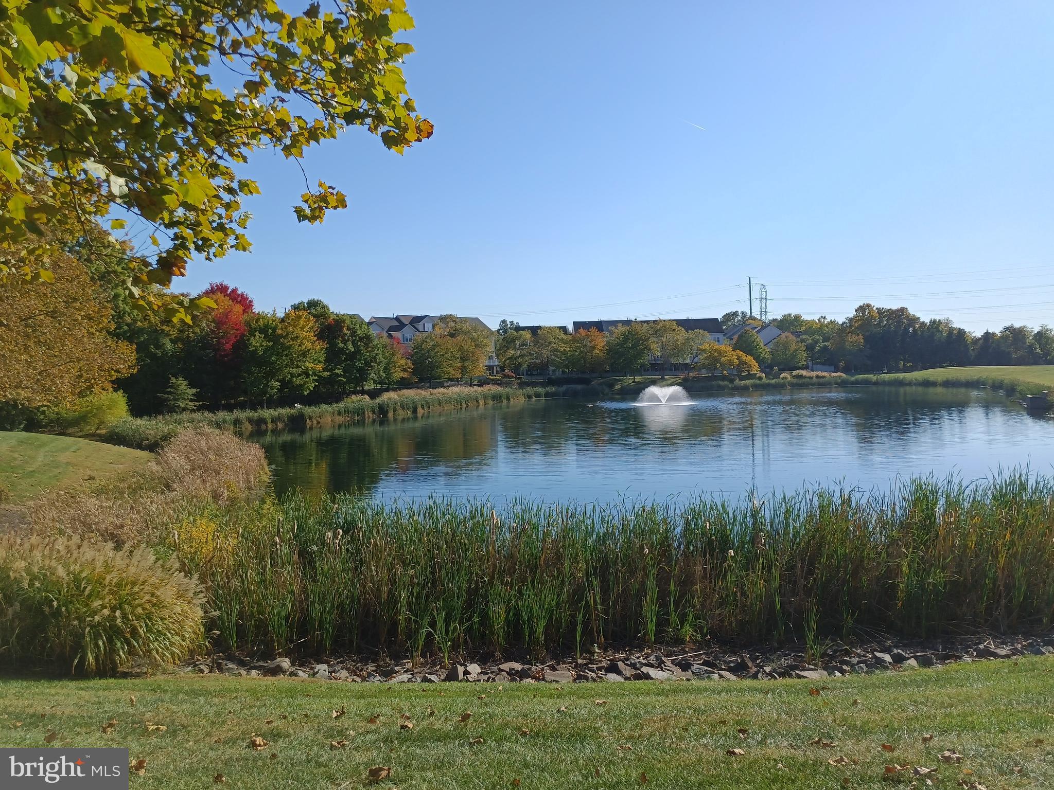 MADISON PARK AT WEST MARKET - Residential Lease