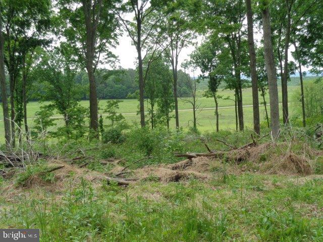 NONE AVAILABLE - Land