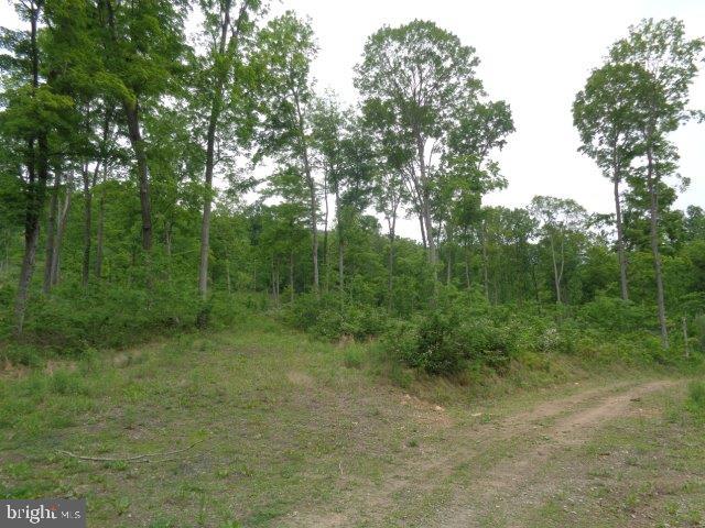 NONE AVAILABLE - Land