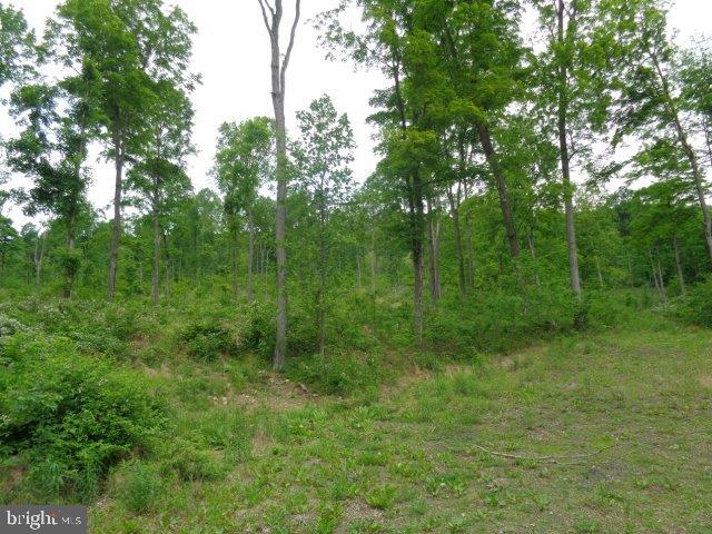 NONE AVAILABLE - Land