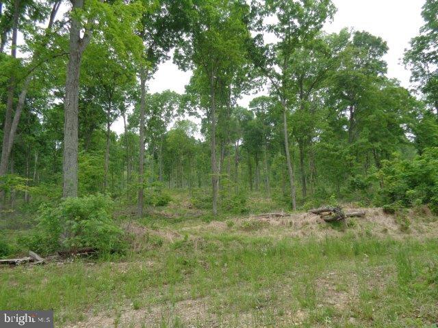 NONE AVAILABLE - Land