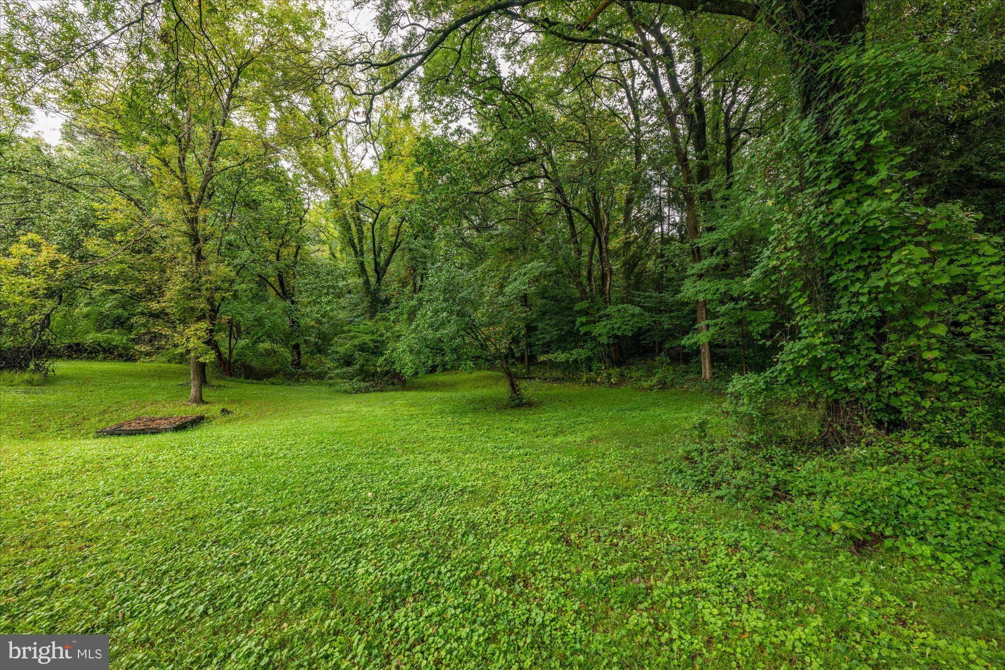 DONALDSON RUN - Residential