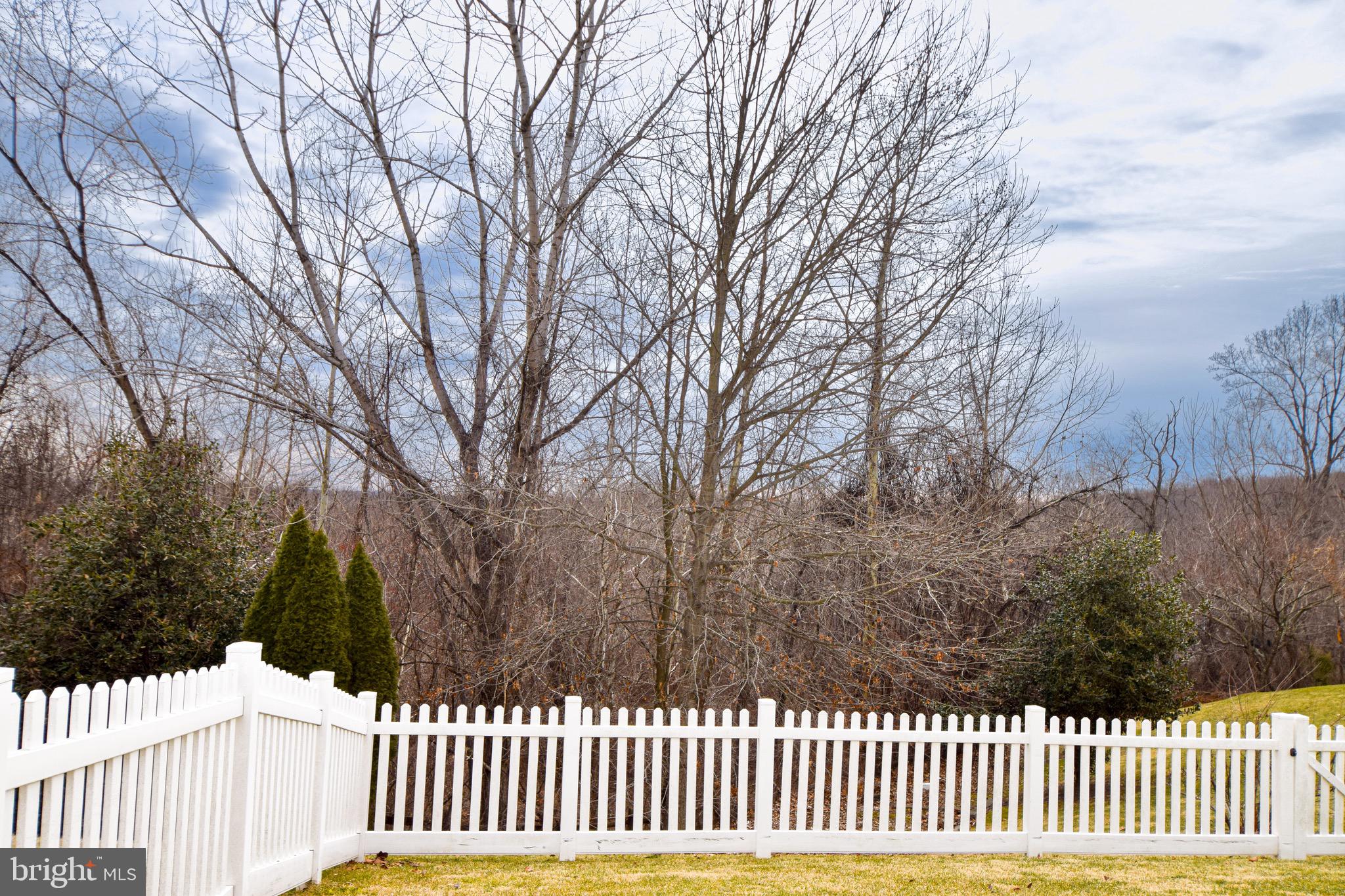 WHITE MARSH - Residential