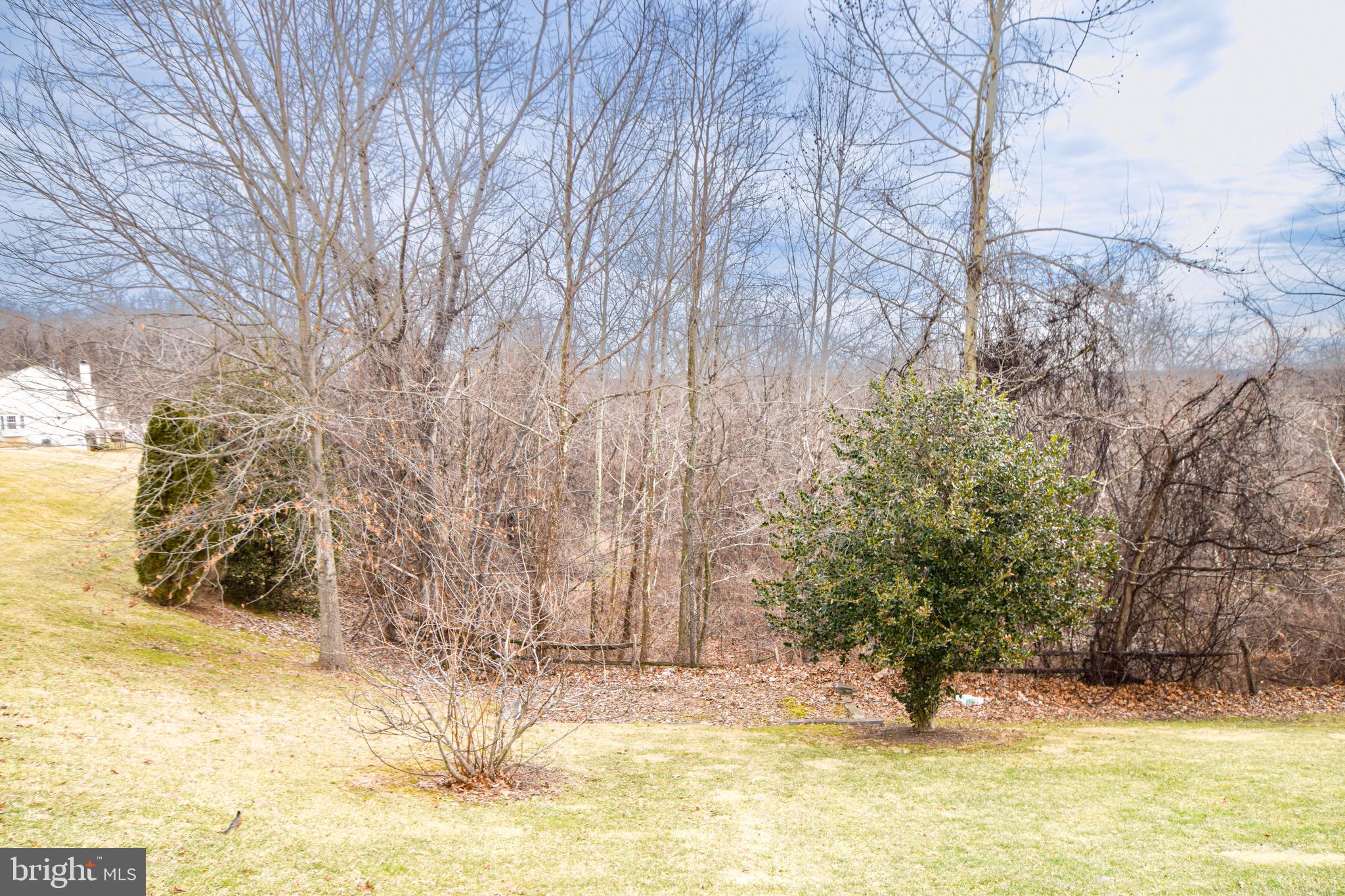 WHITE MARSH - Residential