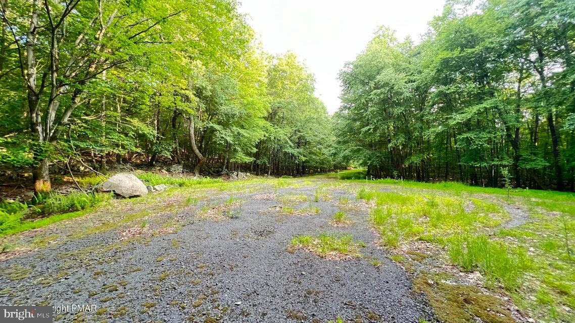 TANGLEWOOD - Land