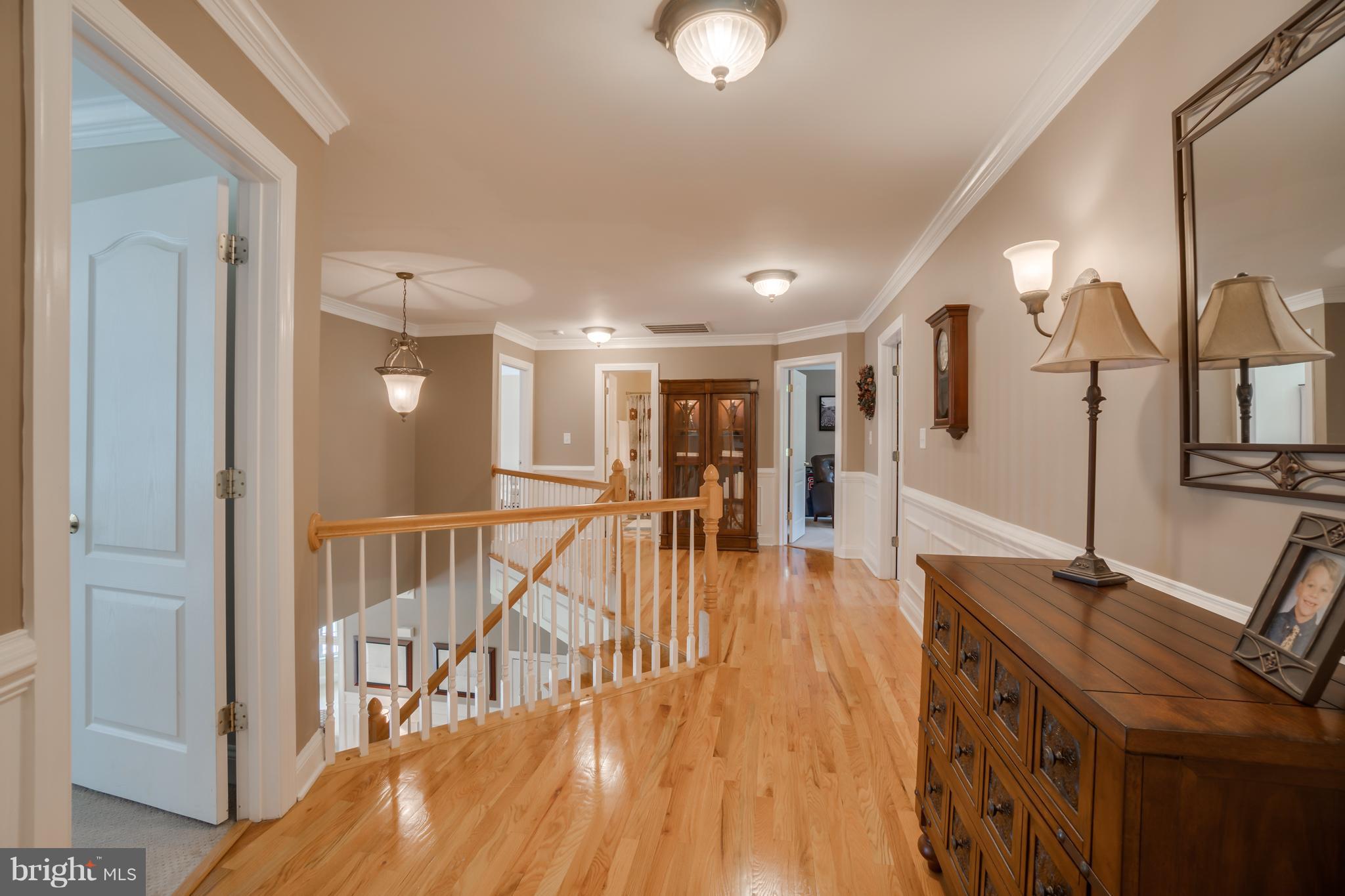 OLDE MEADOW - Residential