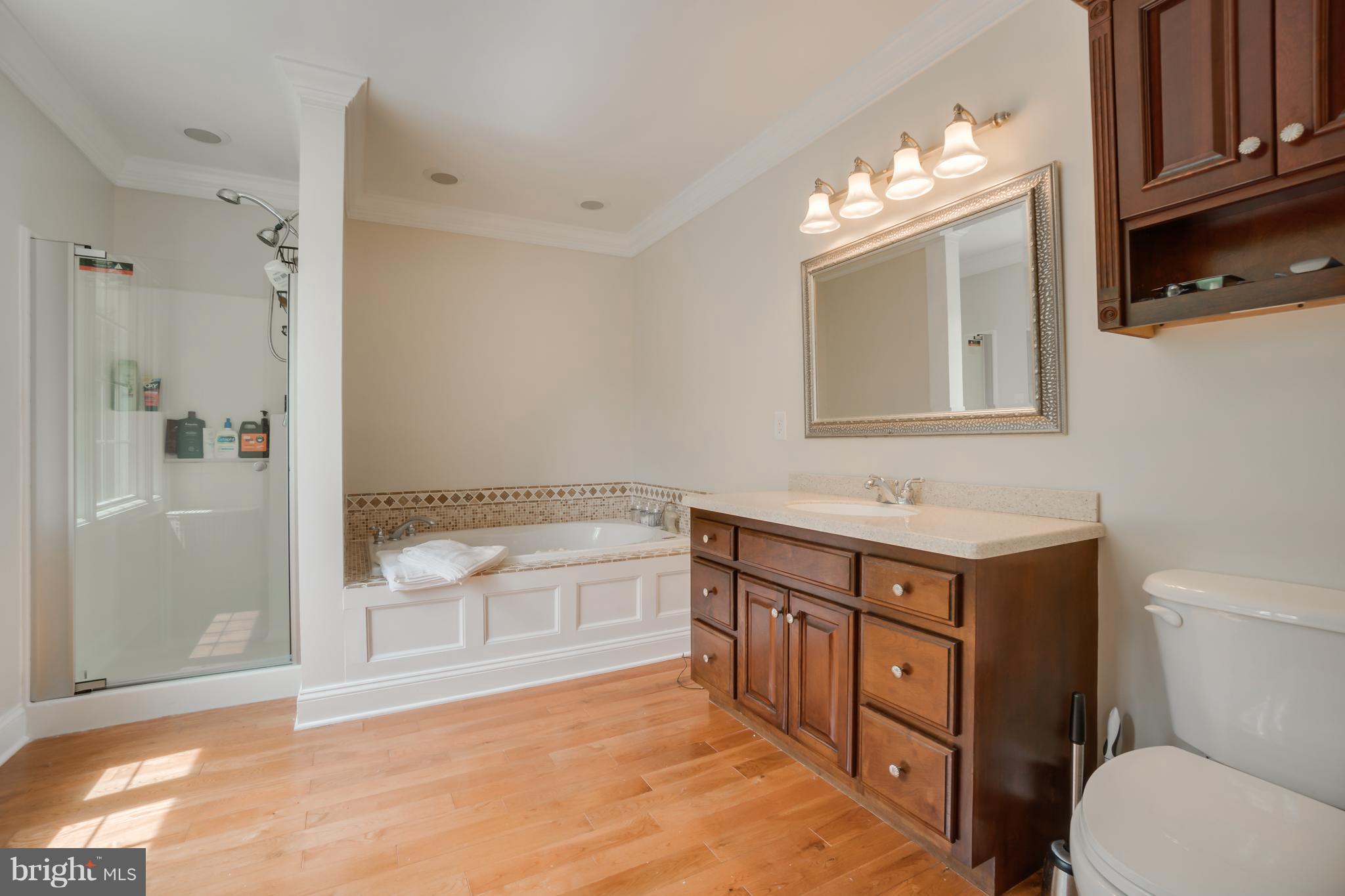 OLDE MEADOW - Residential