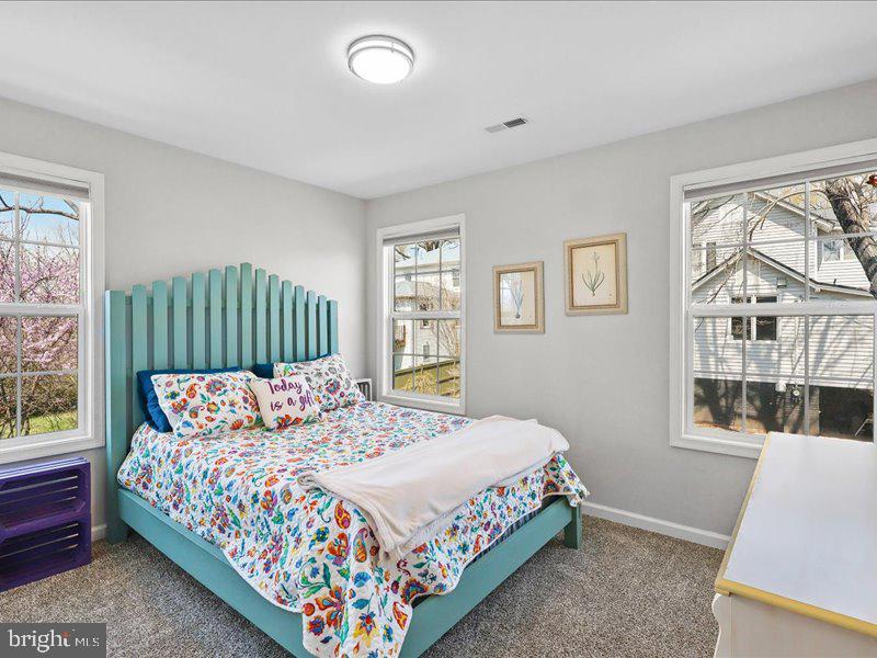 DOWNTOWN CULPEPER - Residential