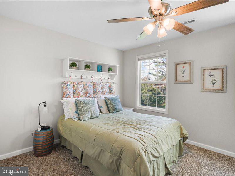 DOWNTOWN CULPEPER - Residential