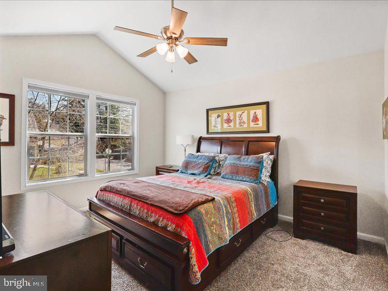 DOWNTOWN CULPEPER - Residential