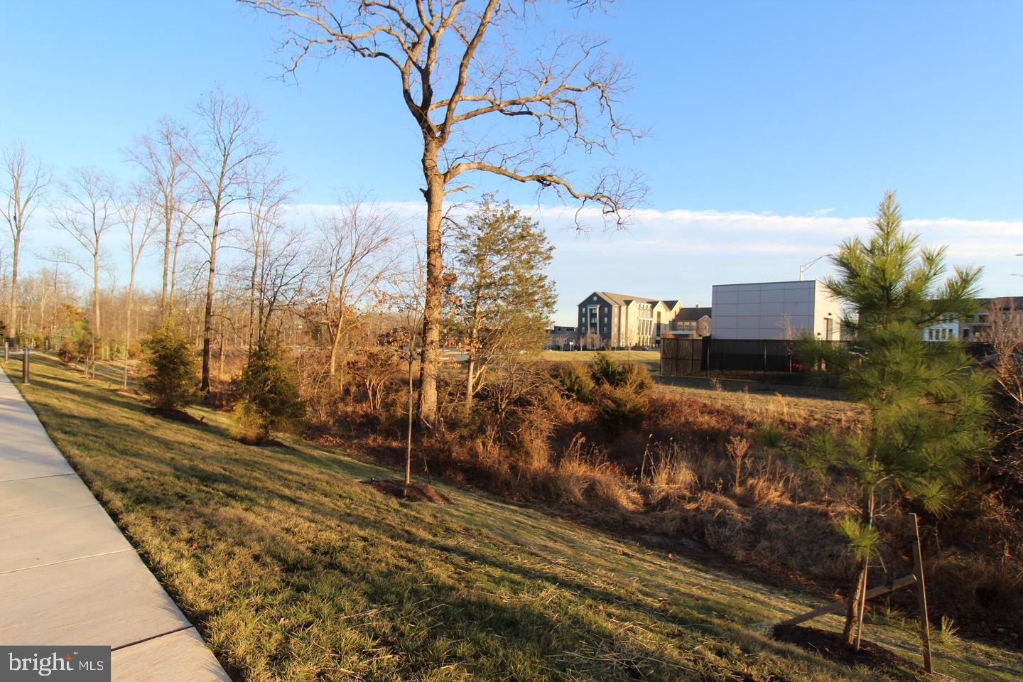 ASHBROOK PLACE - Residential Lease