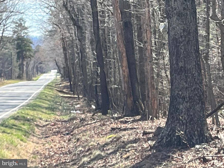 170.99 acres consisting of 8 parcels being sold as a whole. Zoned agriculture and is in County forestry and land use. Approximately 1,000 feet road frontage. ( 53-010 17.86 A; 53-020 21.50 A; 53-030 26.96 A; 53-040 20.36 A; 53-050 21.91 A; 53-060 20.93 A; 53-070 20.16 A; 53-080 21.31 A)