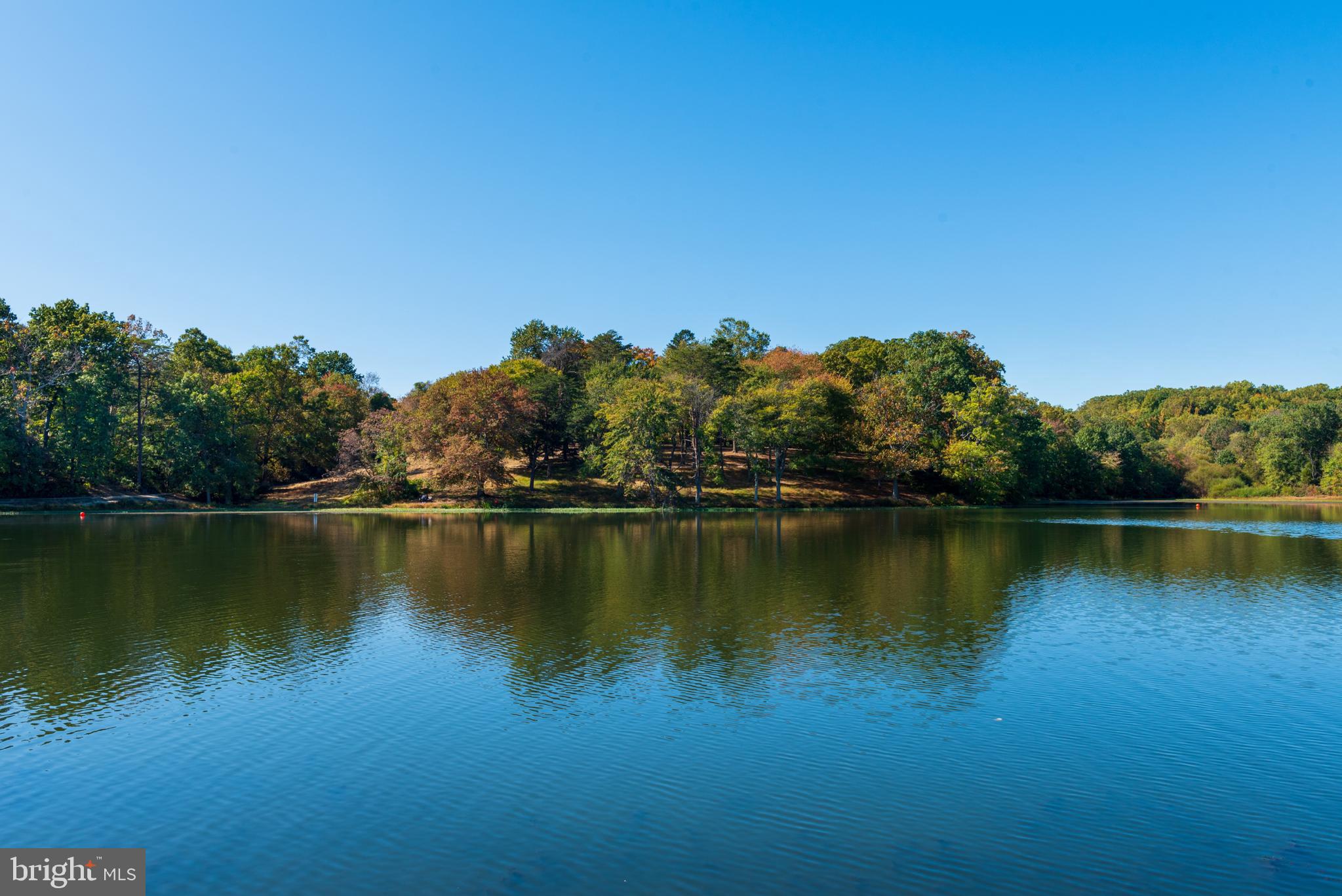 FOREST EDGE - Residential