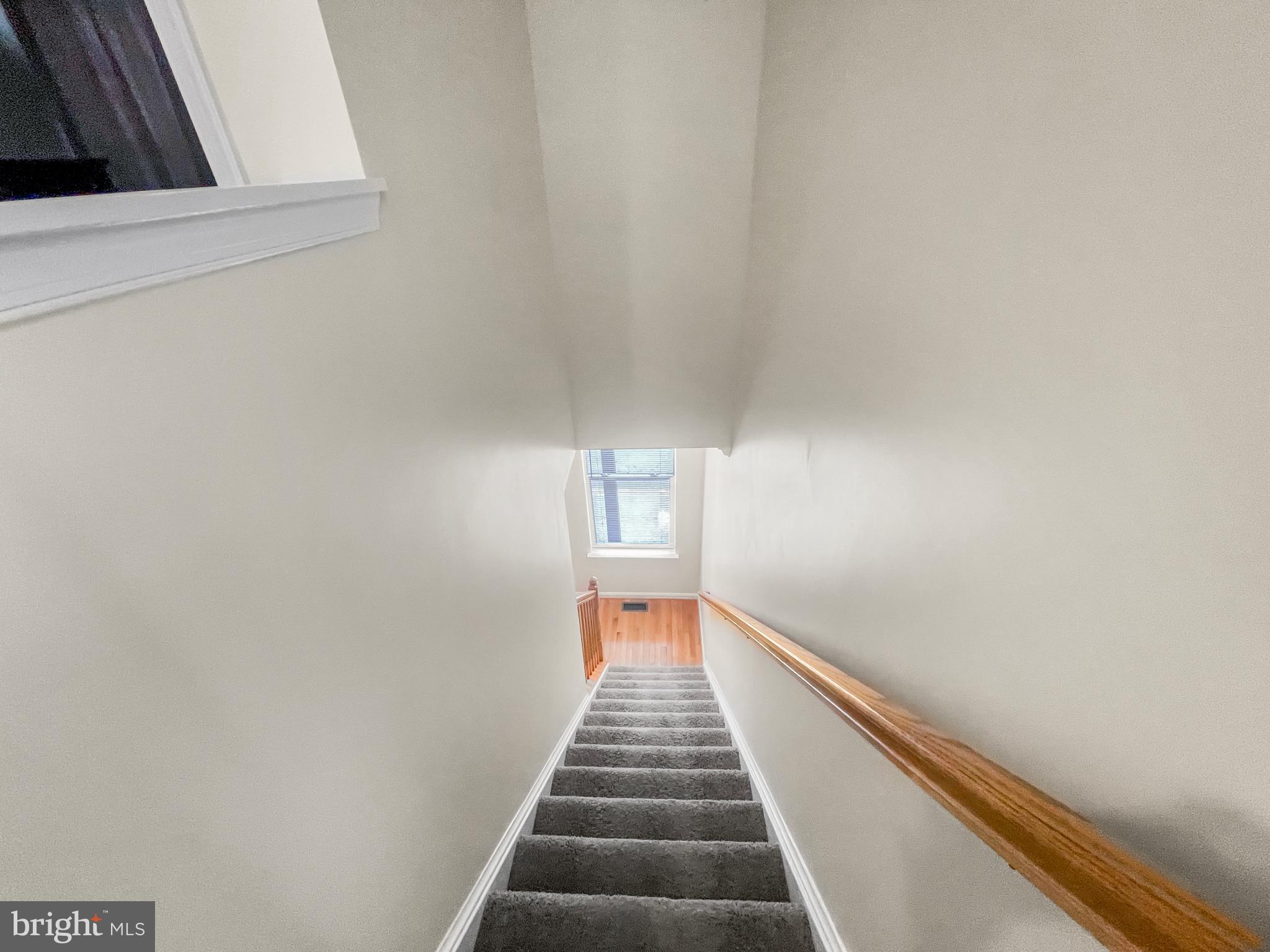 ALBEMARLE SQUARE - Residential Lease