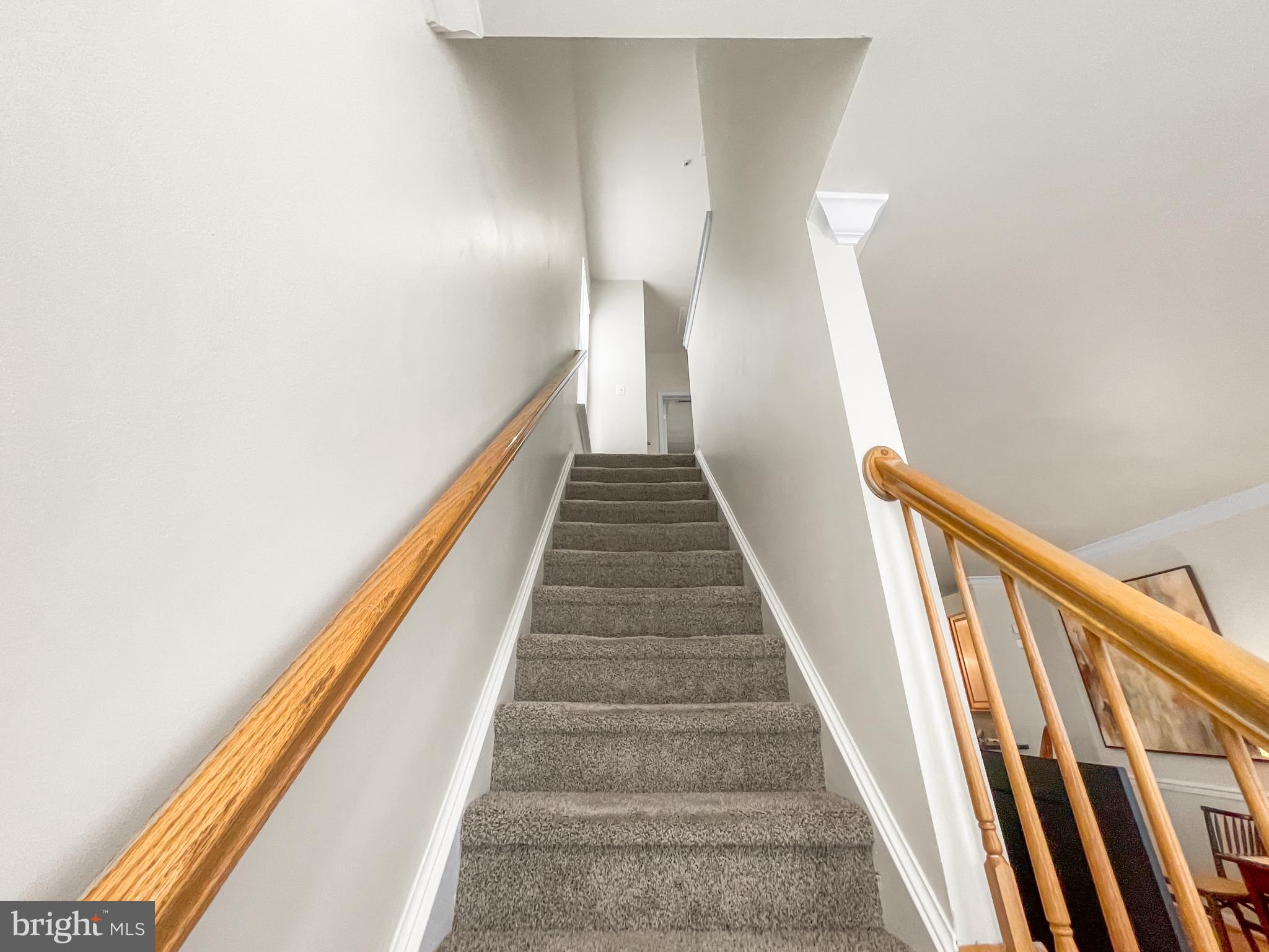 ALBEMARLE SQUARE - Residential Lease