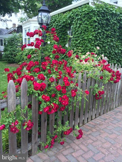 VILLA CRESTA - Residential