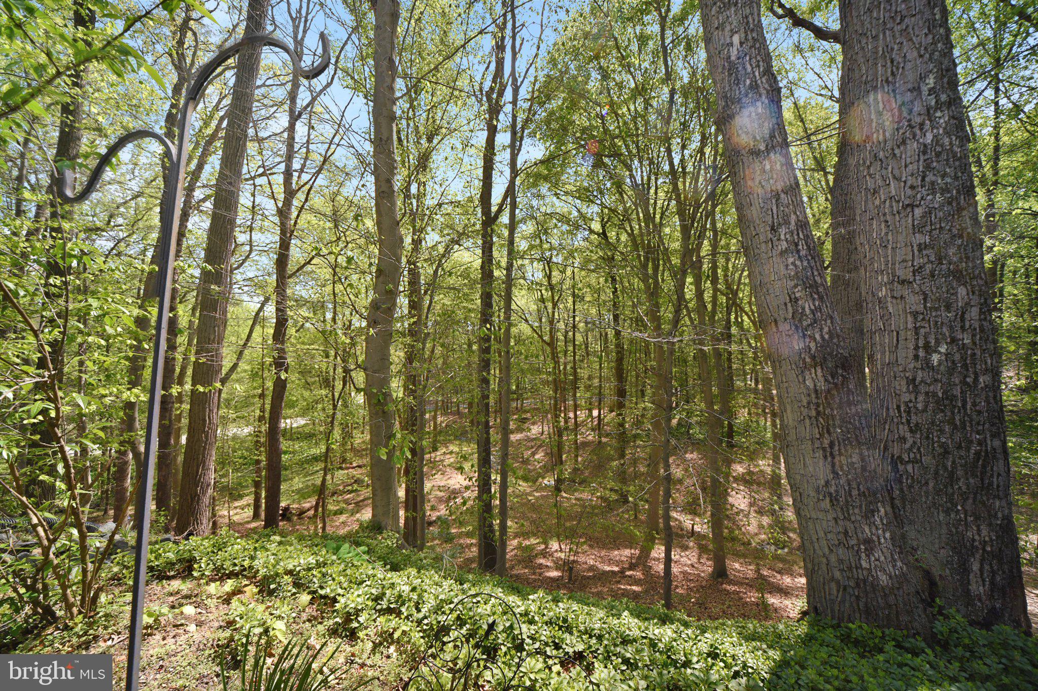 BEECHES - Residential