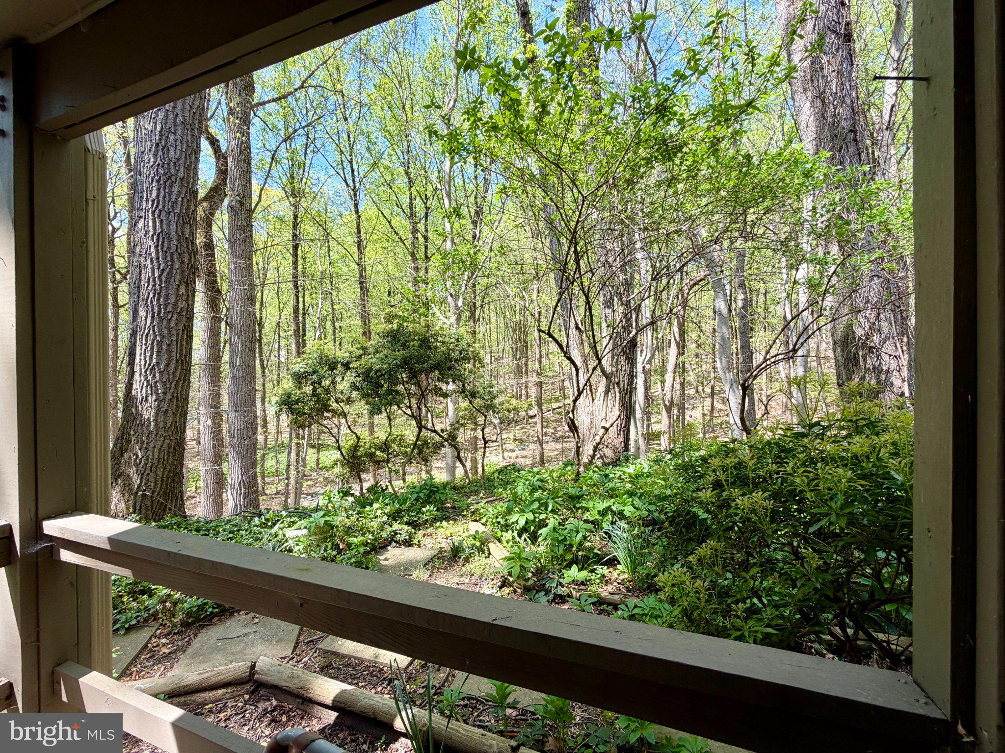 BEECHES - Residential