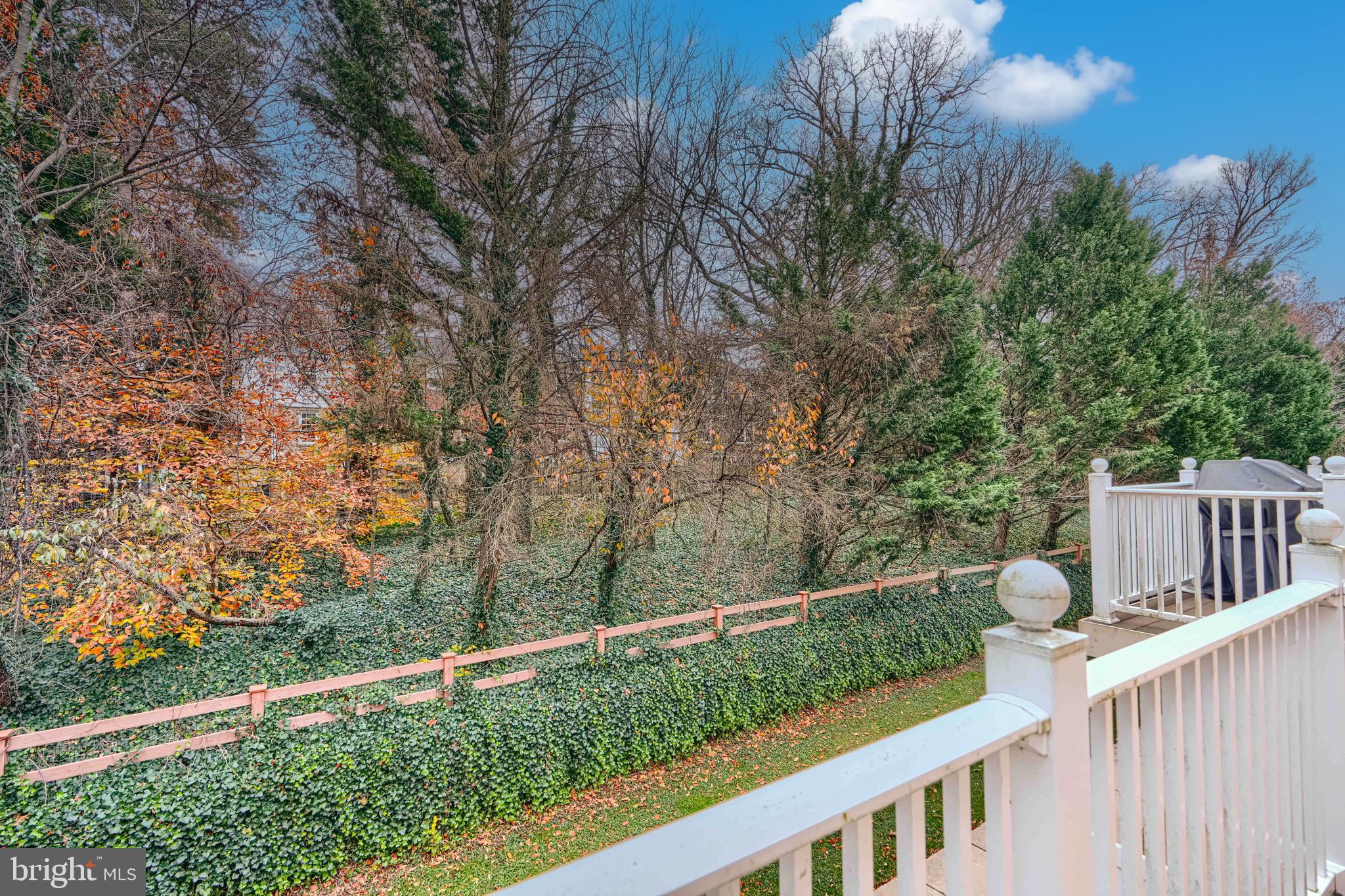 CEDAR GROVE AT CROFTON - Residential