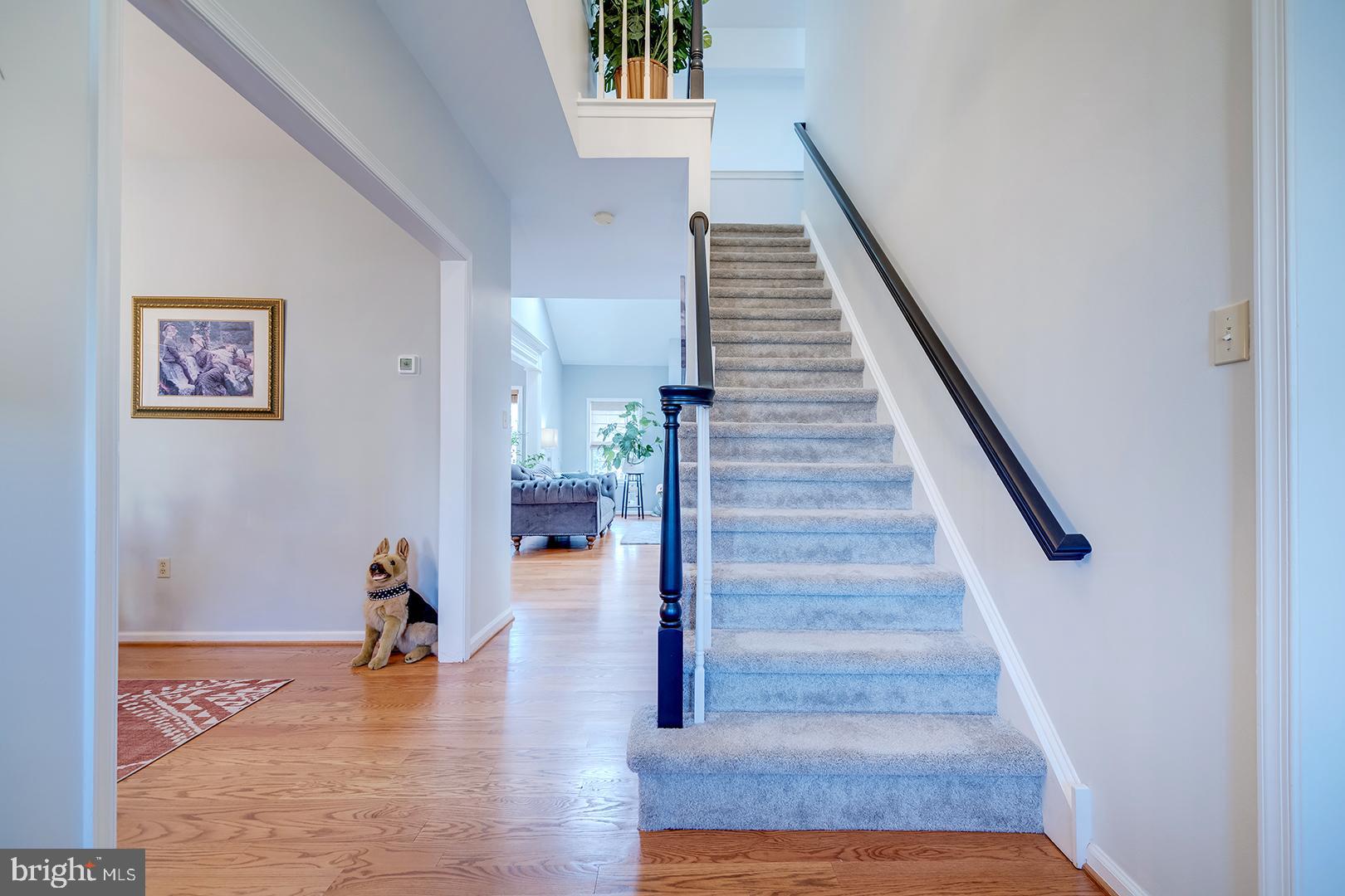 2 MICHIGAN STATE DRIVE