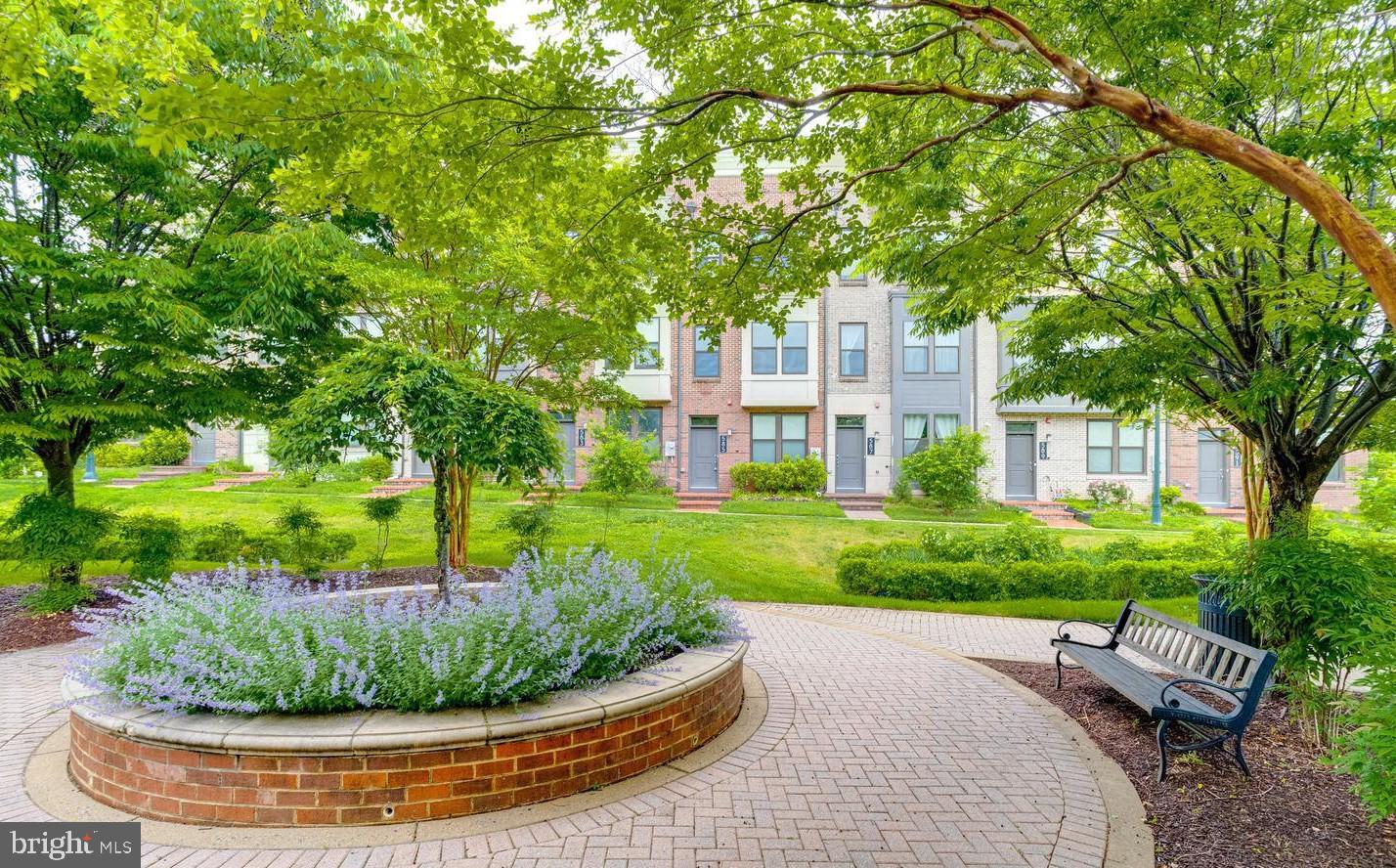 KING FARM IRVINGTON - Residential