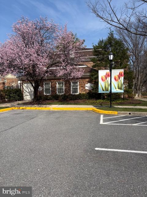 11419 COMMONWEALTH DRIVE 303