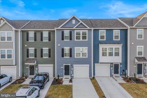 19 CLIFTON MANOR FALLING WATERS WV 25419