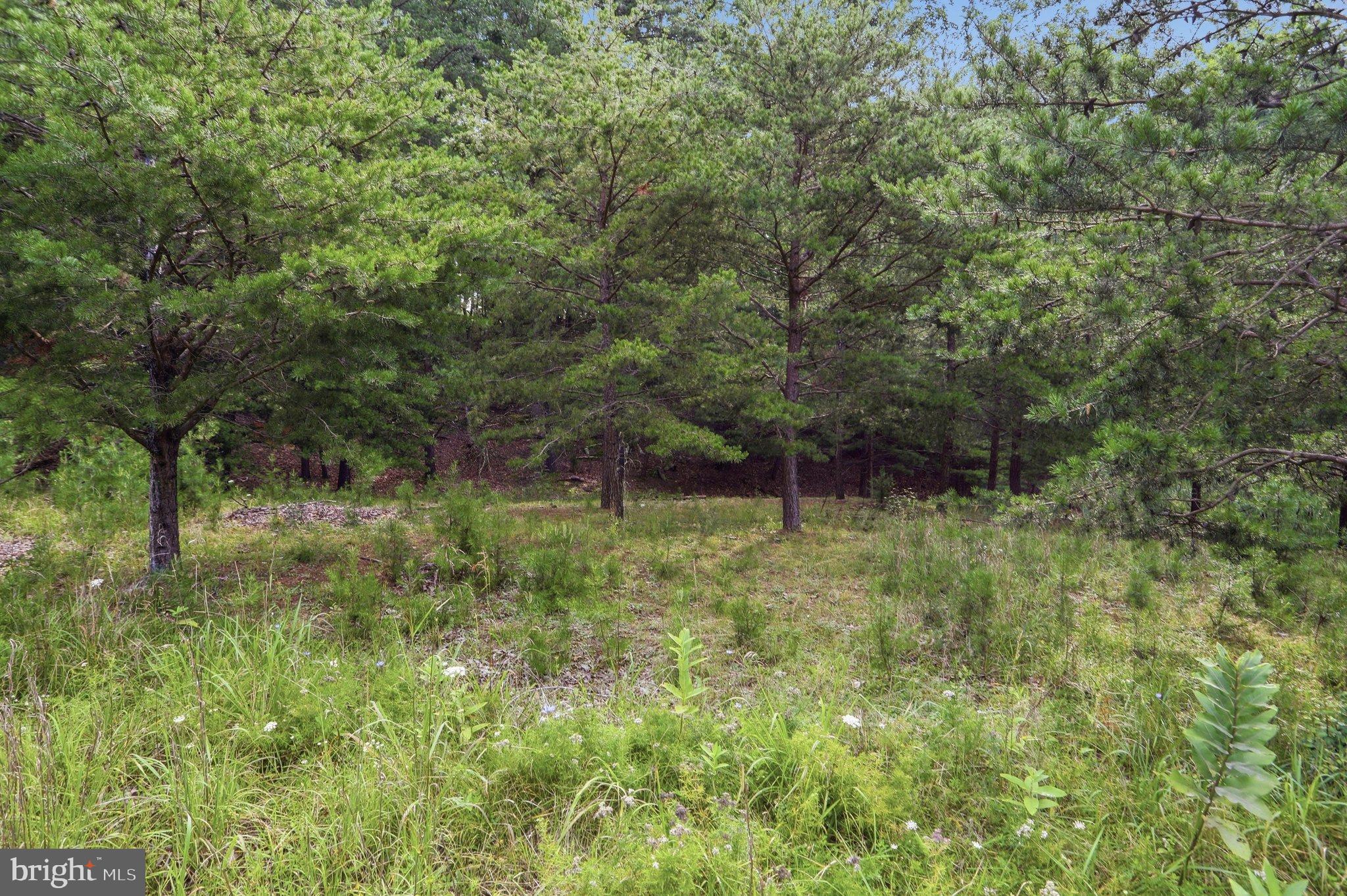 28 EWING ESTATES