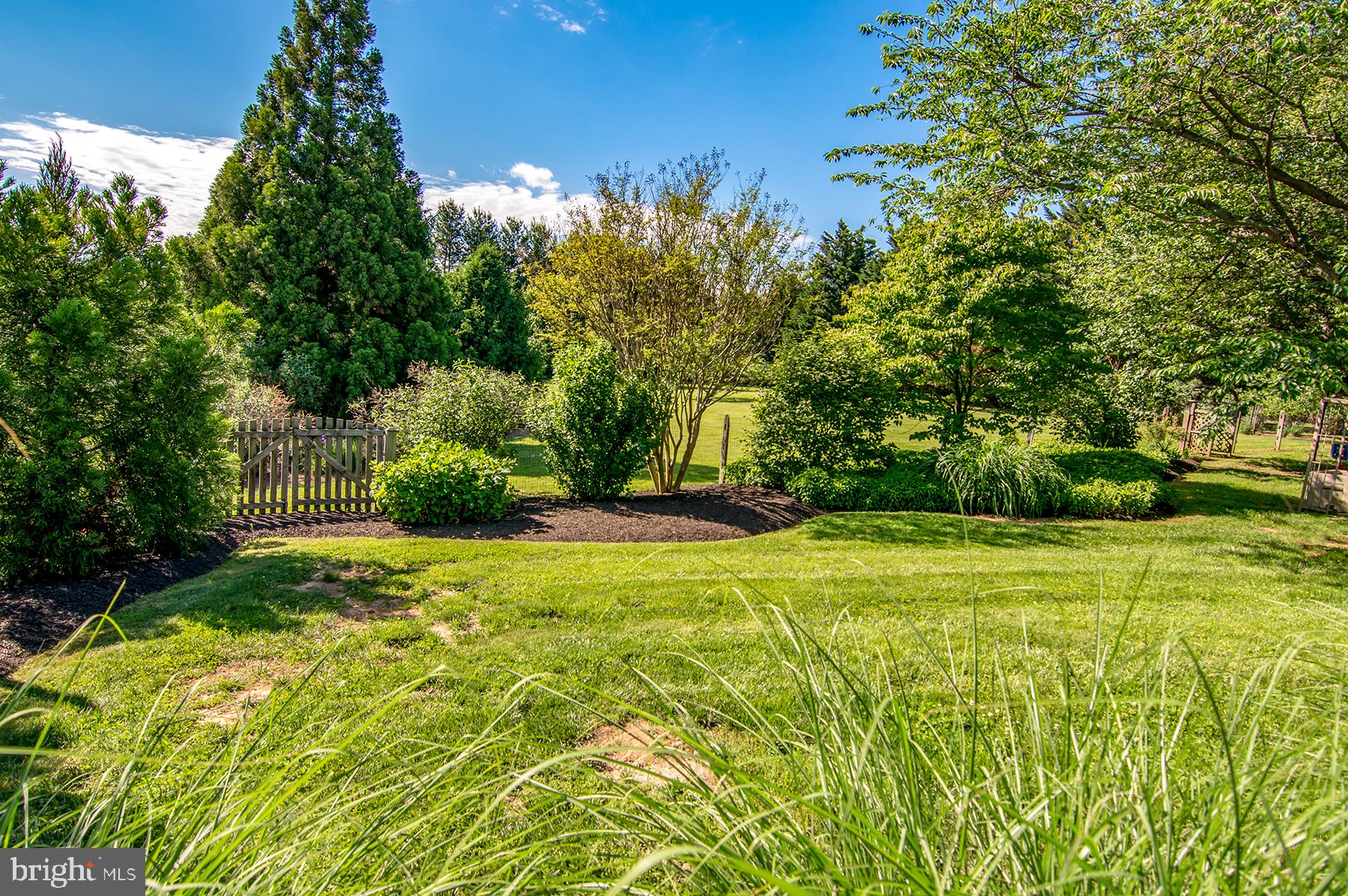 TODD LAKES - Residential