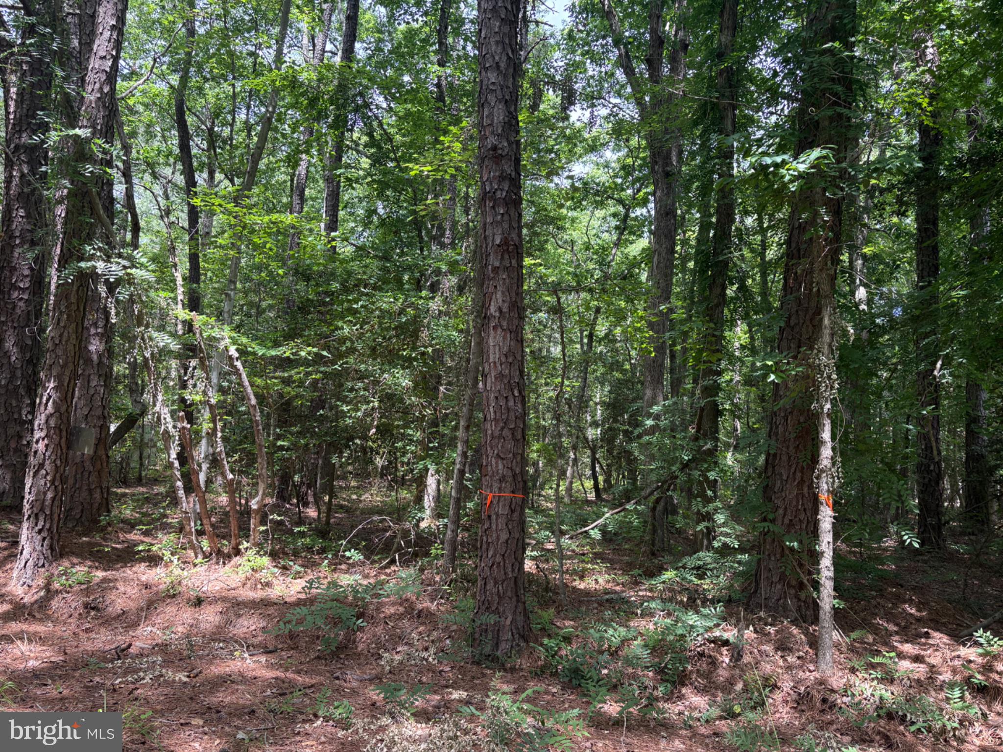 Lot 27 & 28 STOTSYLVANIA DRIVE