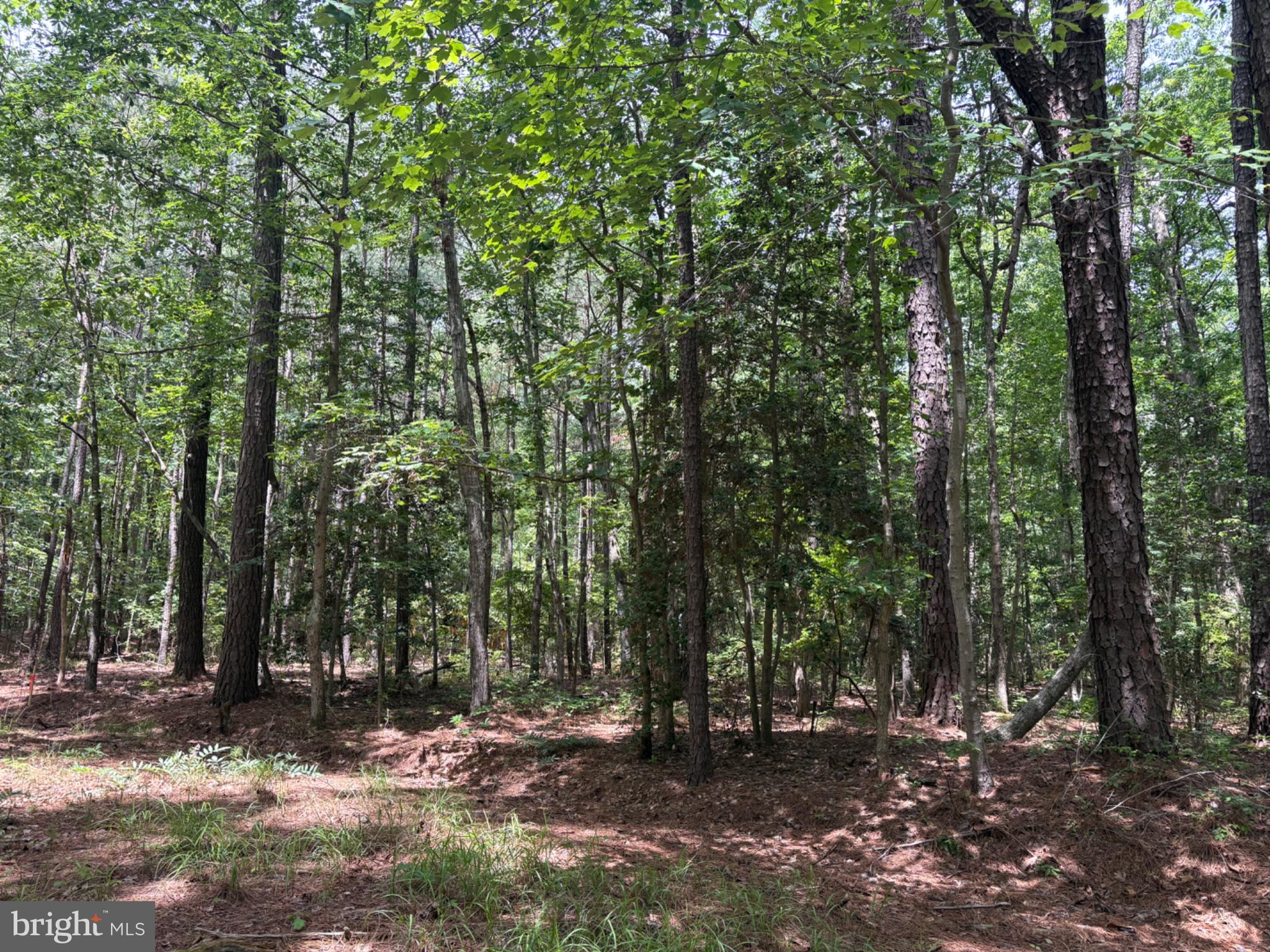 Lot 27 & 28 STOTSYLVANIA DRIVE
