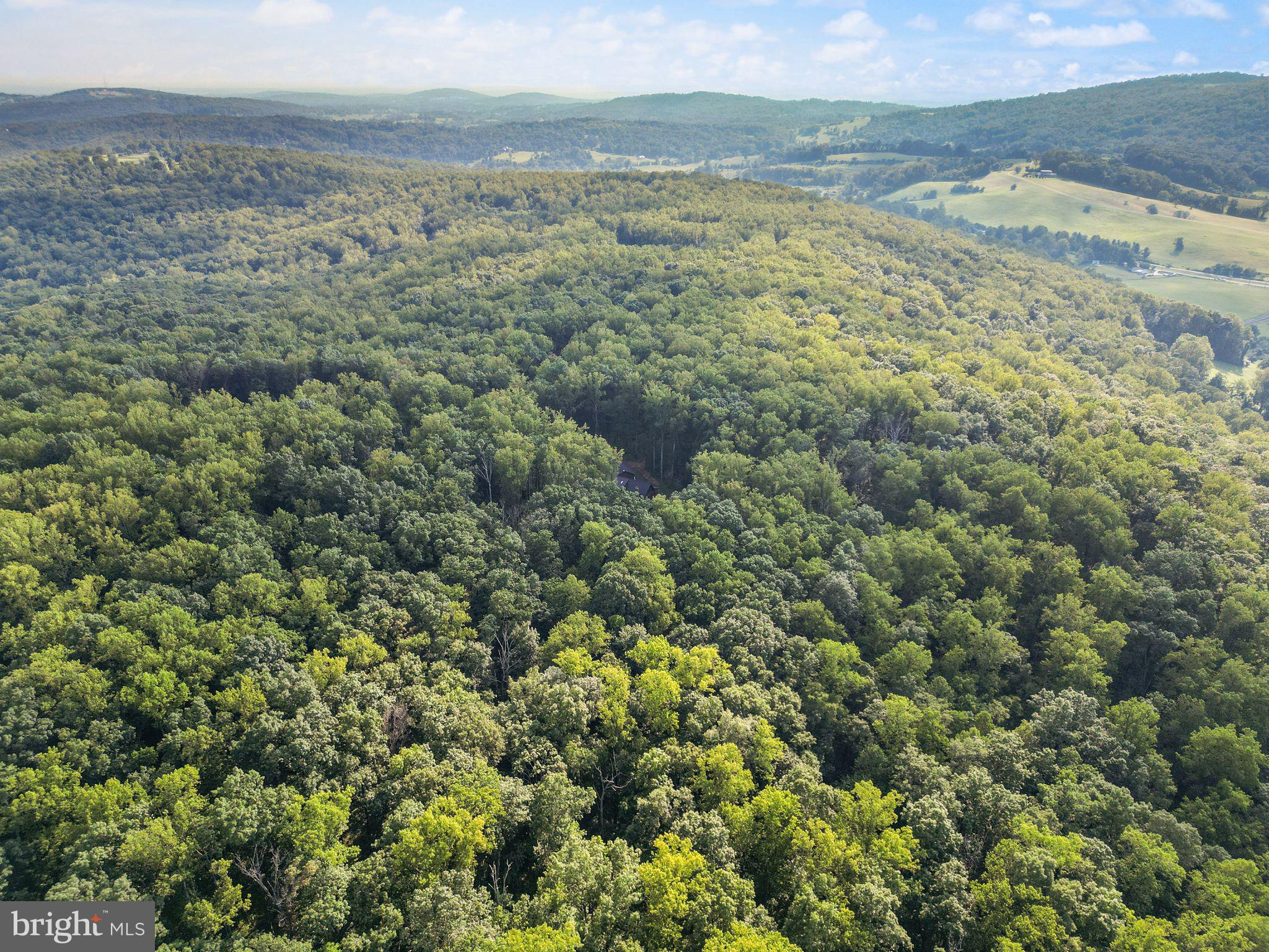 MOUNT PLEASANT EST - Residential