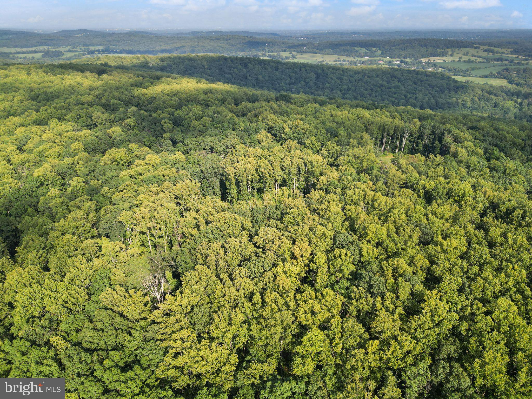 MOUNT PLEASANT EST - Residential