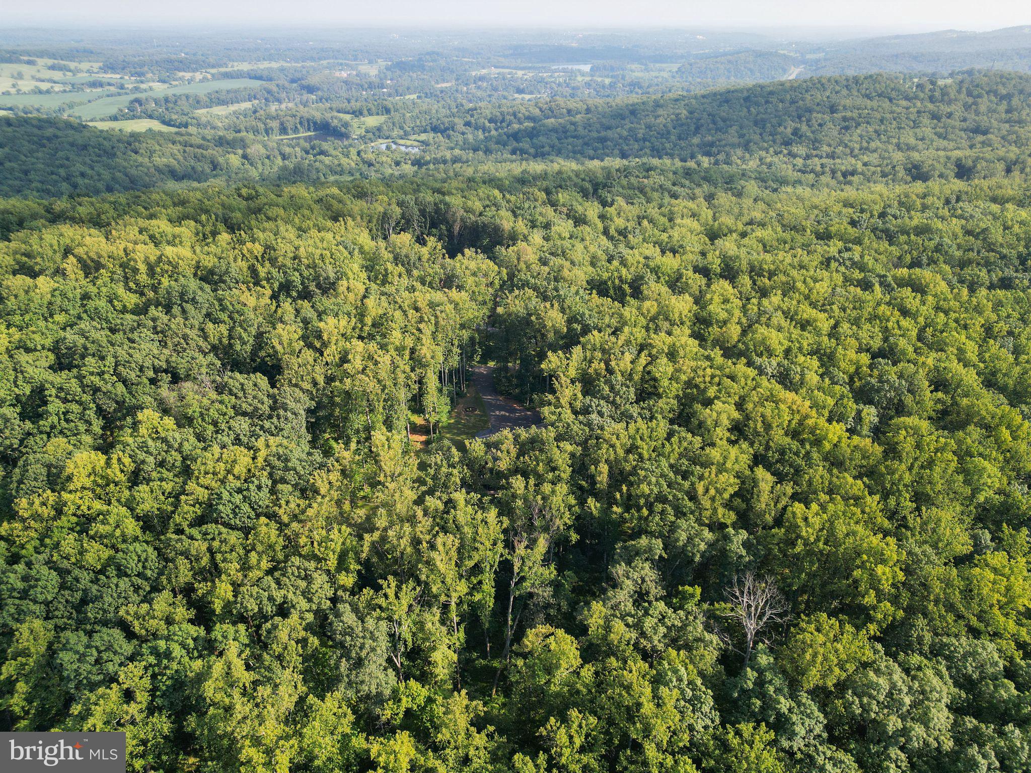 MOUNT PLEASANT EST - Residential