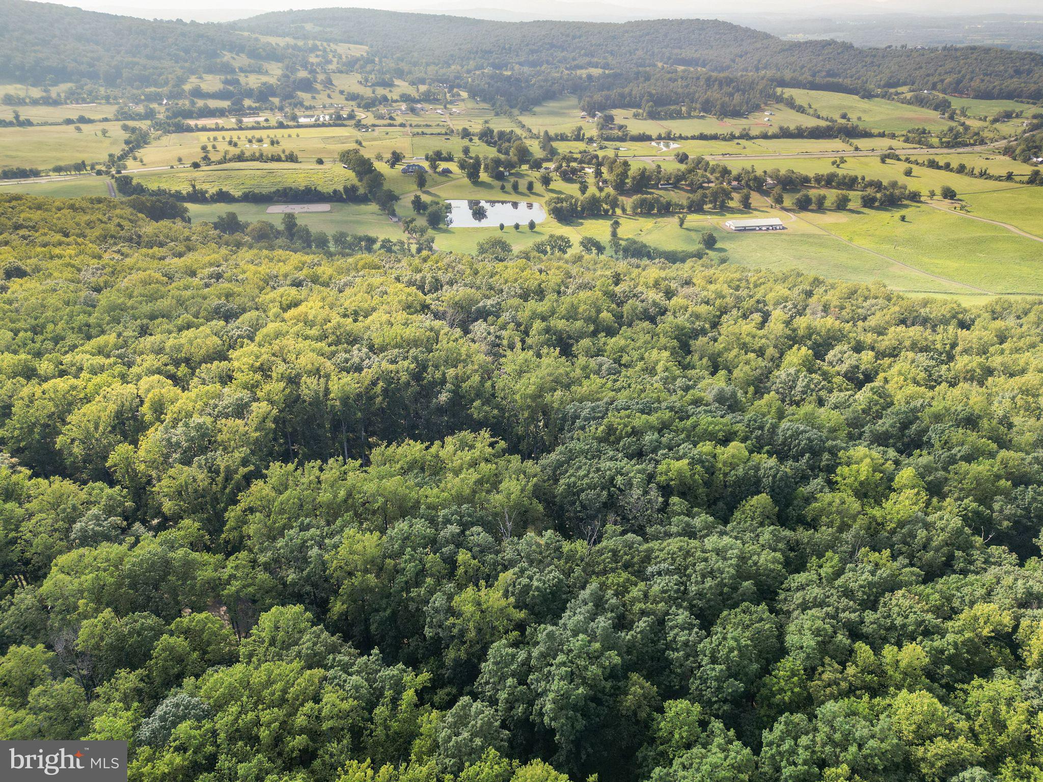 MOUNT PLEASANT EST - Residential