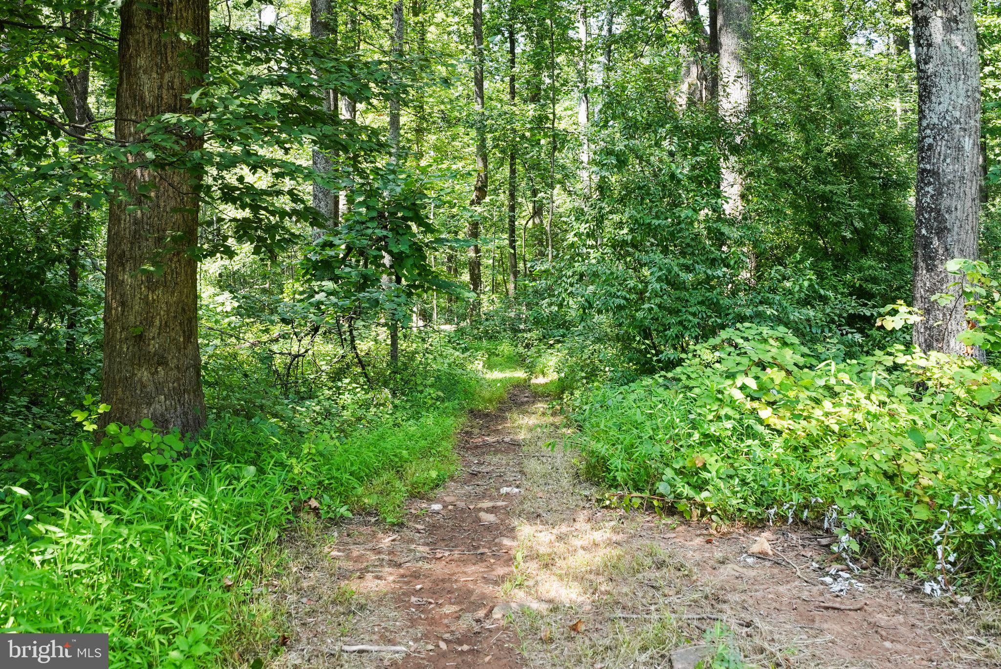 MOUNT PLEASANT EST - Residential