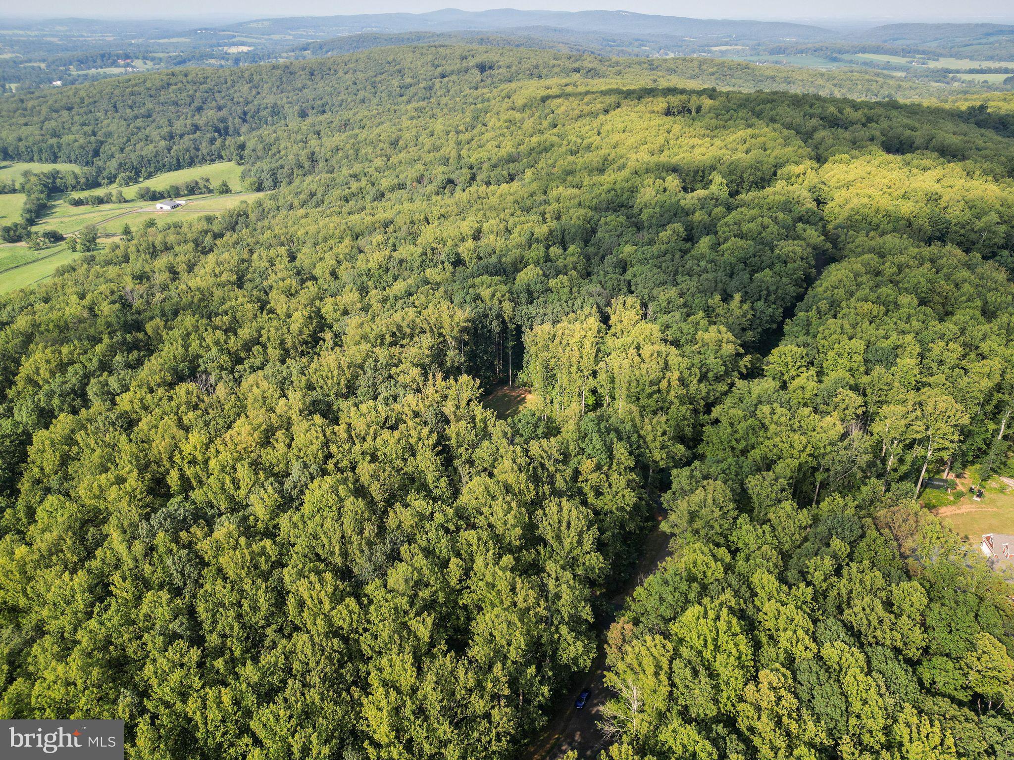 MOUNT PLEASANT EST - Residential